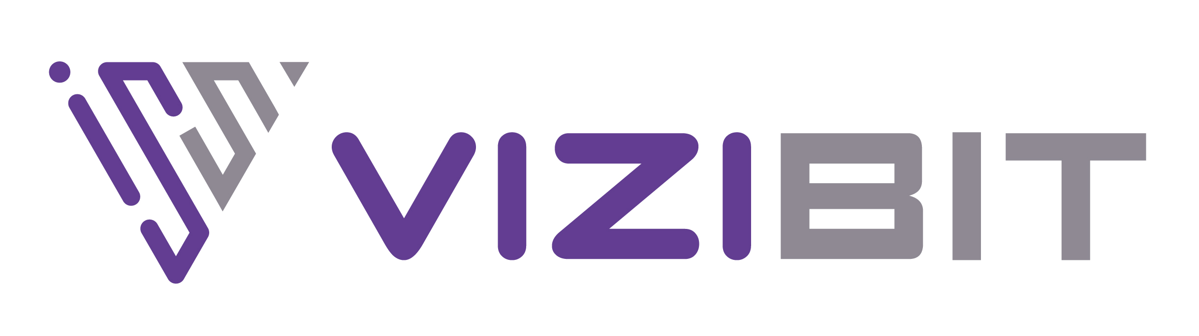 Vizibit Logo